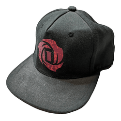 Derrick Rose Adidas Snap Back Hat - Maxi's Sports Vintage